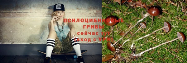 spice Абдулино