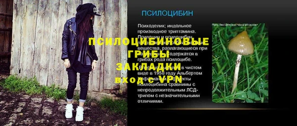 марки lsd Абаза