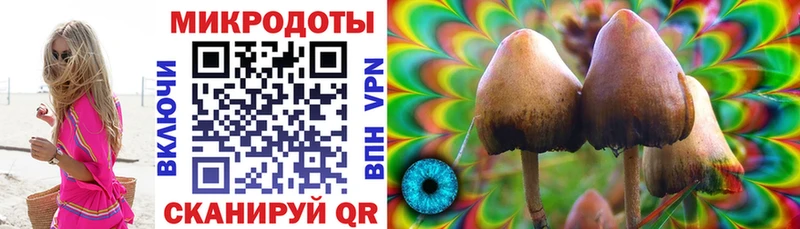 Галлюциногенные грибы Magic Shrooms Циолковский